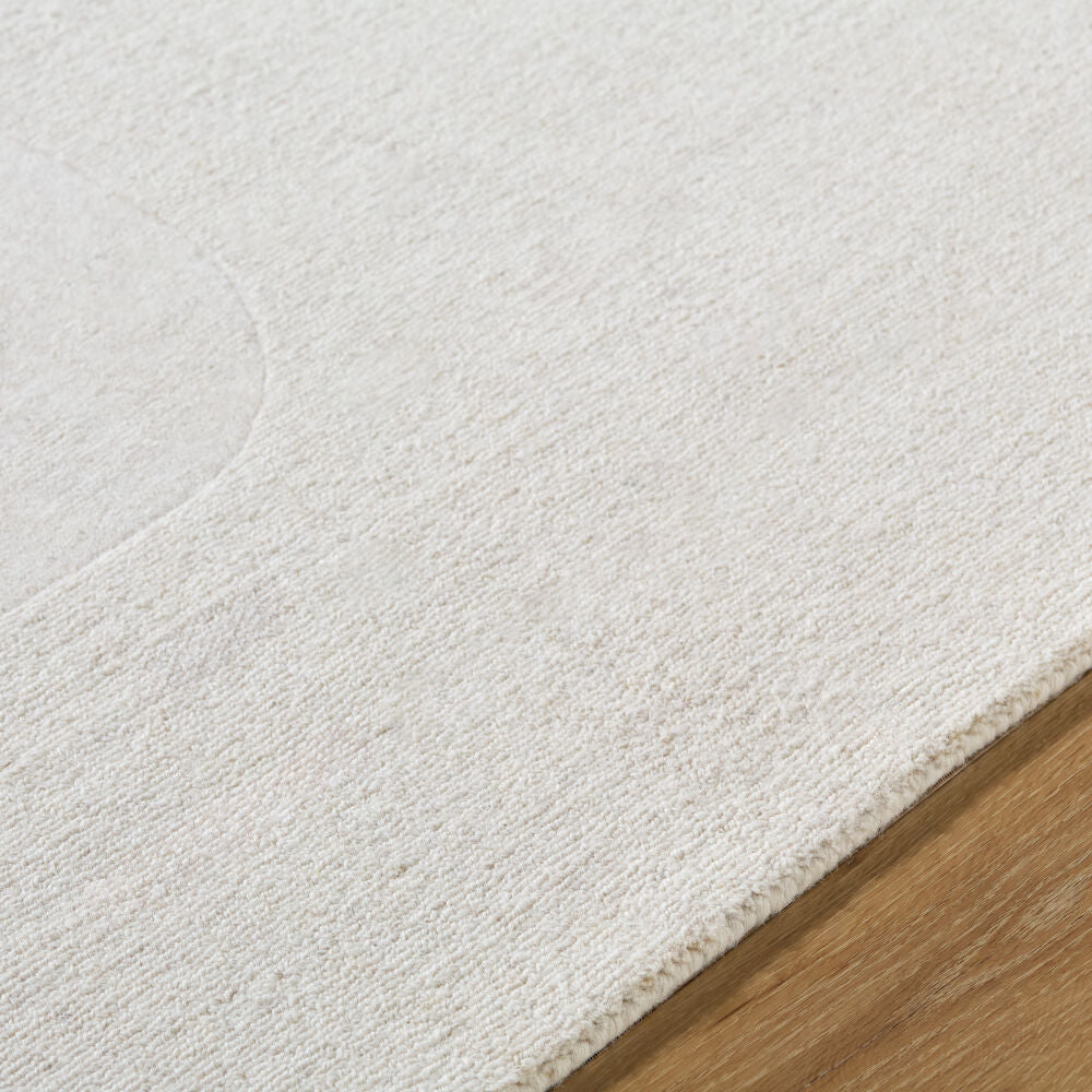 Taraash Handmade Rug TRH-2309 - texture