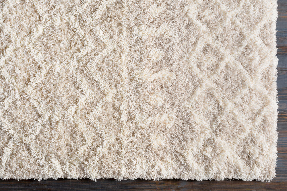 Urban Shag Cream/Light Beige Machine Woven Rug USG-2303 - overhead