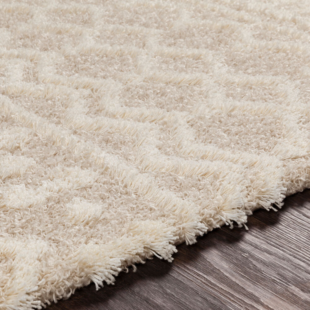 Urban Shag Cream/Light Beige Machine Woven Rug USG-2303 - texture