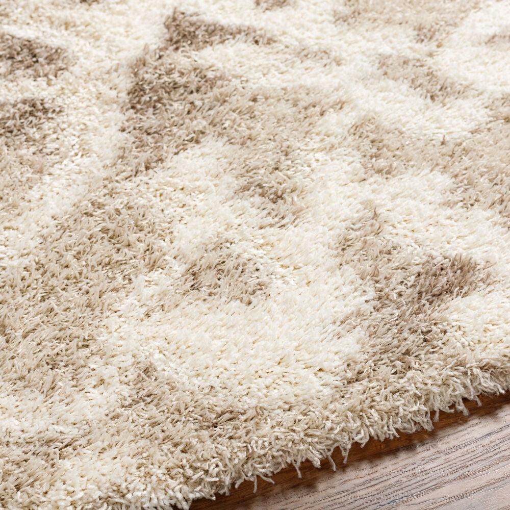 Urban Shag Beige/Medium Brown Machine Woven Rug - texture