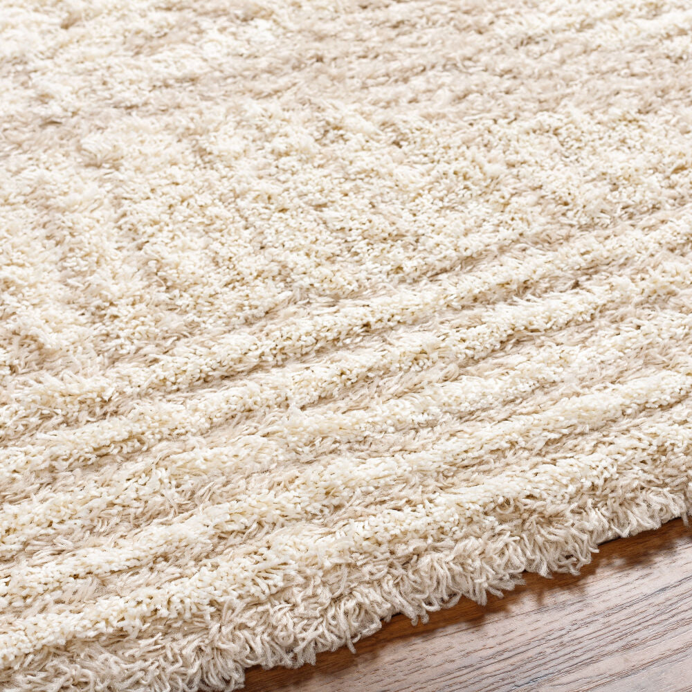 Urban Shag Beige/Ivory Machine Woven Rug - texture