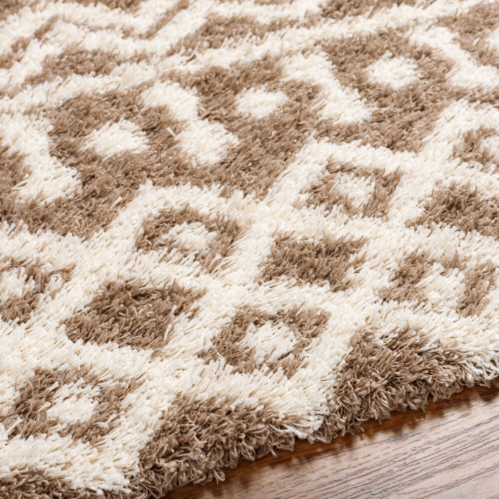 Urban Shag Ivory/Medium Brown Machine Woven Rug - texture