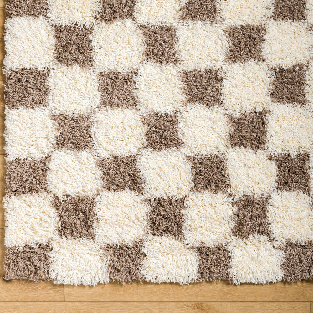 Urban Shag Brown/Cream Machine Woven Rug - overhead