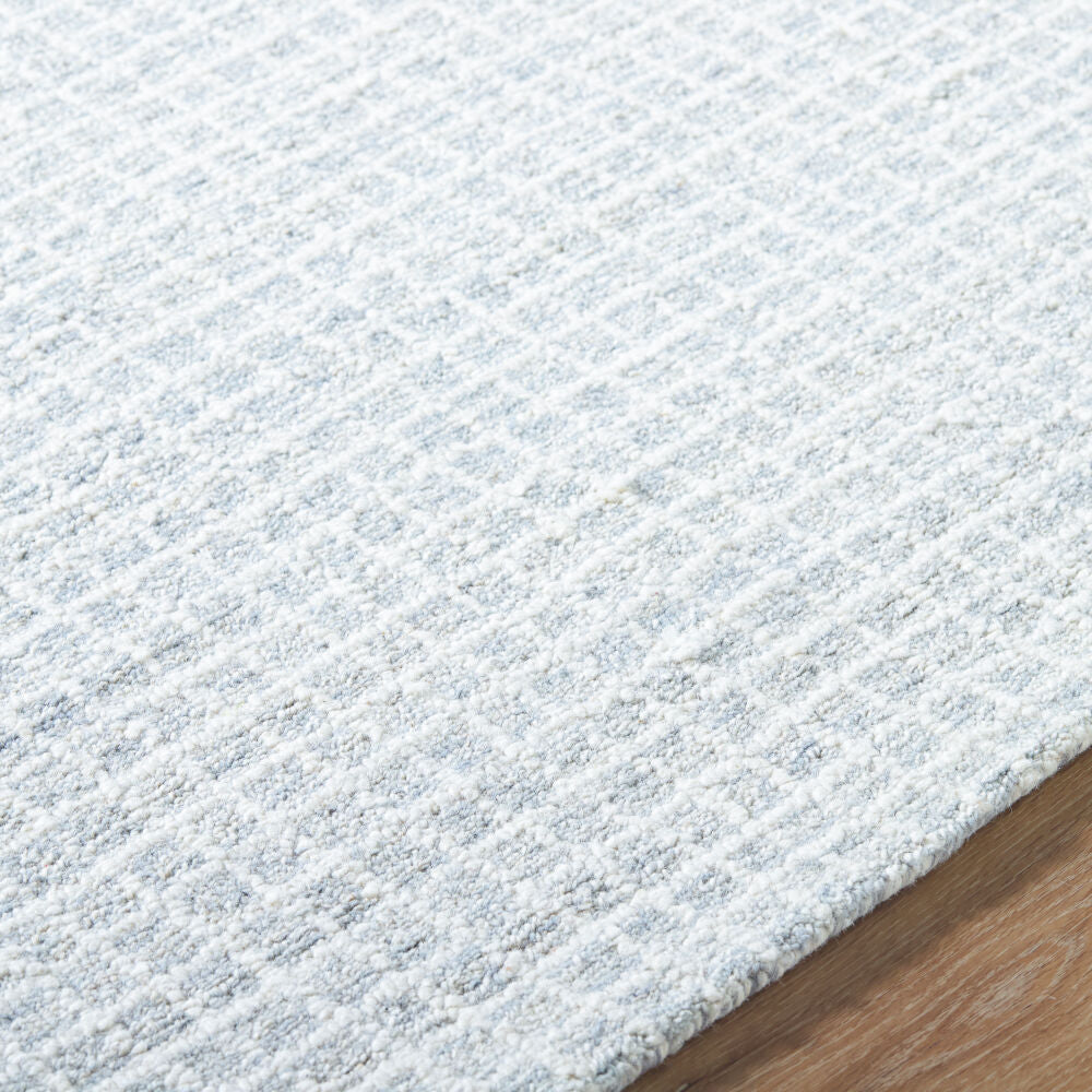 Andreas Light Blue/White Handmade Rug - texture