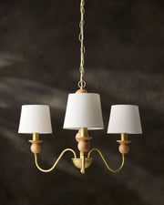 Wiluna Chandelier WLN-004 - styleshot