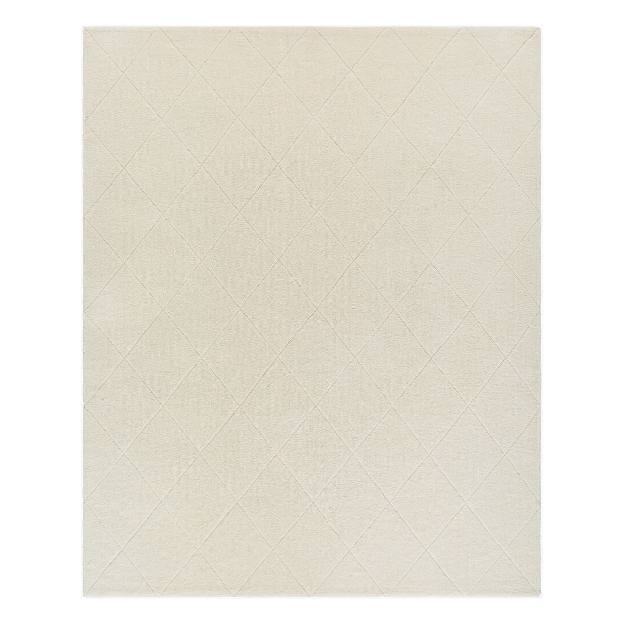 Wooly Handmade Rug WOL-2300 - 2' x 3'