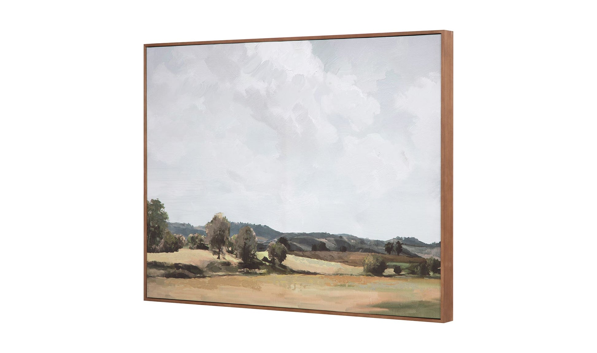 Vast Country Framed Painting by Moe's Home Collection - view 15