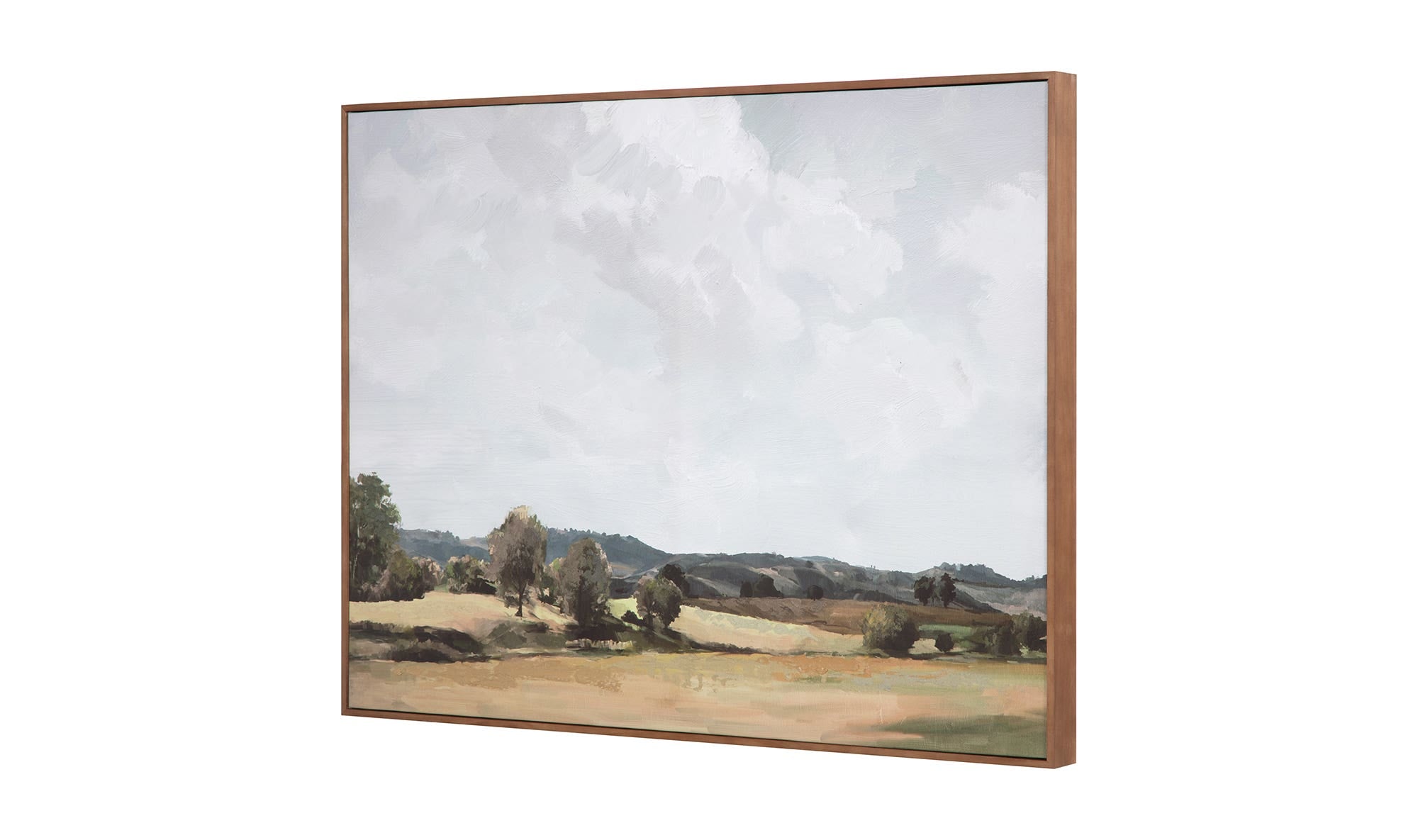 Vast Country Framed Painting by Moe's Home Collection - view 15