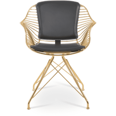 Zebra Armchair