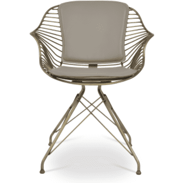 Zebra Armchair