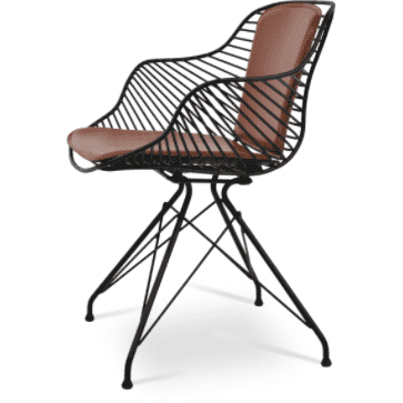 Zebra Armchair