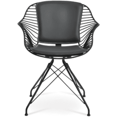 Zebra Armchair