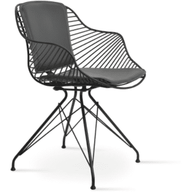 Zebra Armchair