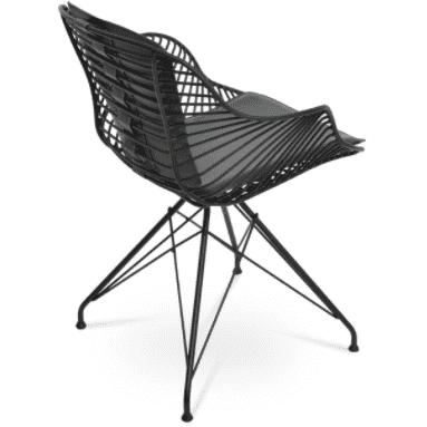 Zebra Armchair