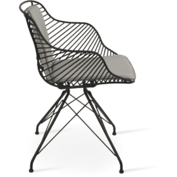 Zebra Armchair