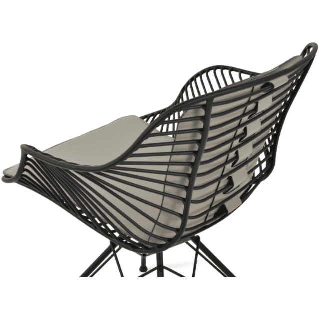 Zebra Armchair