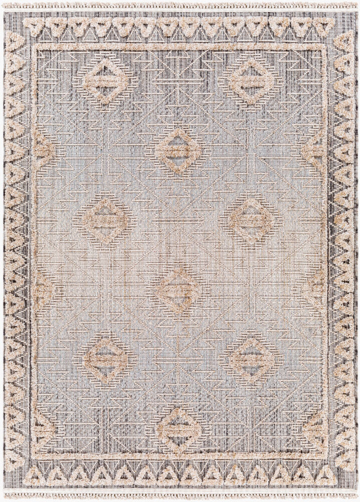 Zaragoza Charcoal/Light Slate Machine Woven Rug - 5'3" x 7'